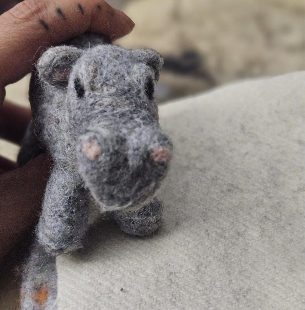 North American House Hippo